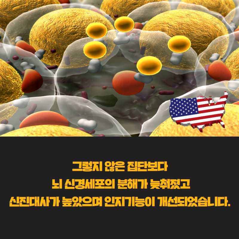 10.png